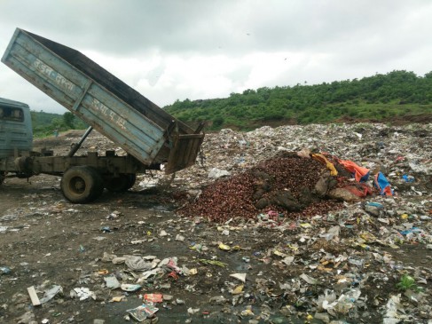 1000 quintals of onion throw trash at home
