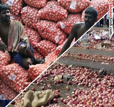 21 thousand quintals of onion Not sold, back to warehouse