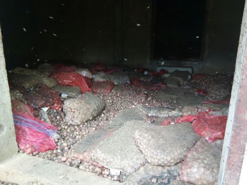 30,000 quintals of onion rotting in godowns