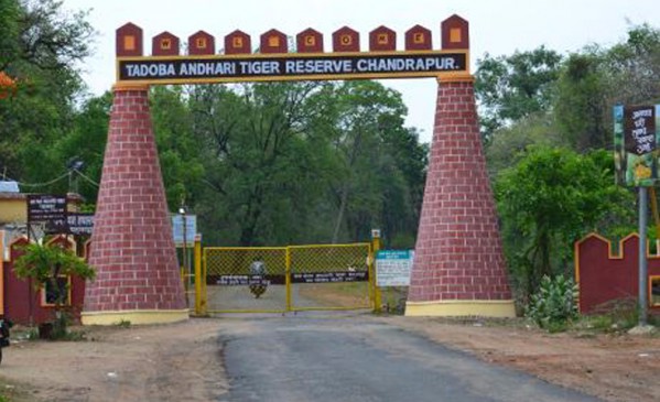 A sanctuary like this, where the films name given to animals
