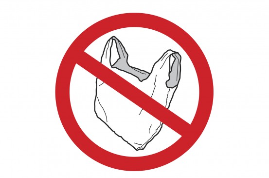 Bill passed to impose full ban on polythene