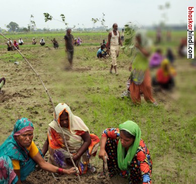corruption in MNREGA mandla janpad panchayat