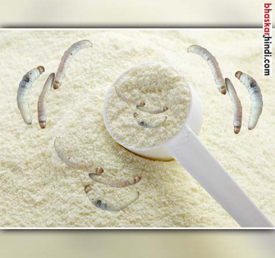 Fail Sanchi Milk Powder in Investigation, Illies Outside Sacks