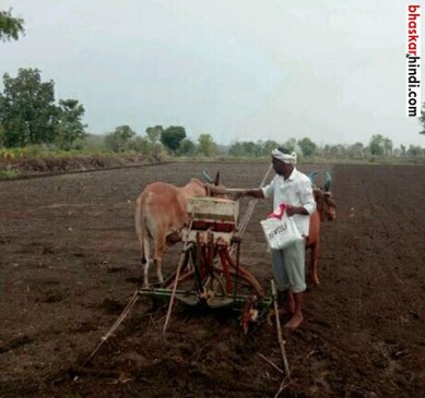 Farmers will not produce tur dal