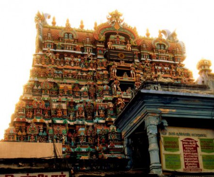 Found cellar with nine sculpture in perumal temple