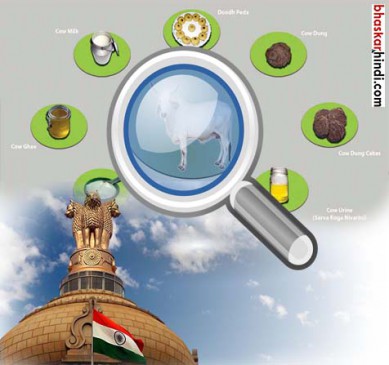 Government create a committee to get scientific recognition of panchagavya