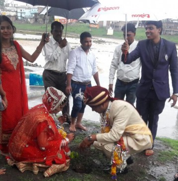 newly couples plant seedlings before the marriage