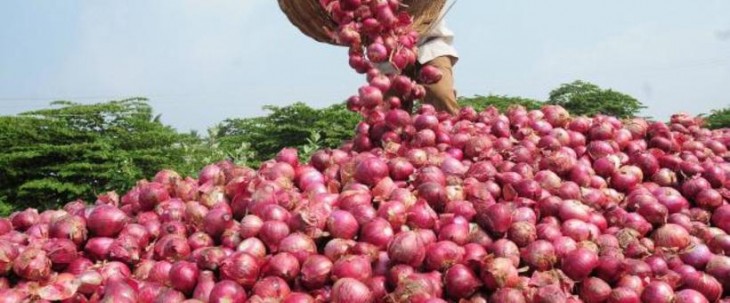 Onion price increase in MP and chhindwara district