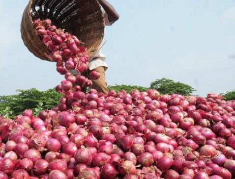 Problem of onion farmers for the low price in MP