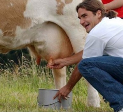 Rodger Federers video of pull out Cows Milk