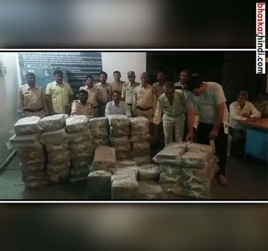 Seized 4 kg of ganja, smuggled under the guise of vegetable