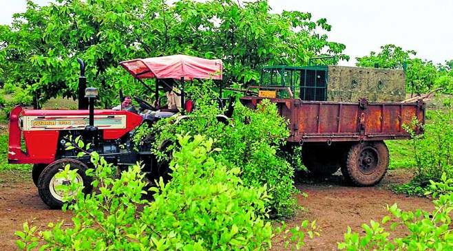 Tigers T-27 in the clutches, kept the heat in the village