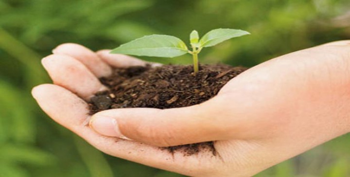 Try to make green Maharashtra in 3 years