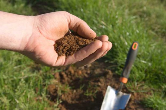 zinc sulphate deficiency has been found in chhindwara soil