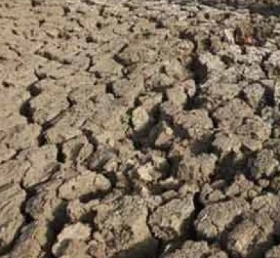 40 farmers planted on soya bean crop in Asra due to sowing crisis