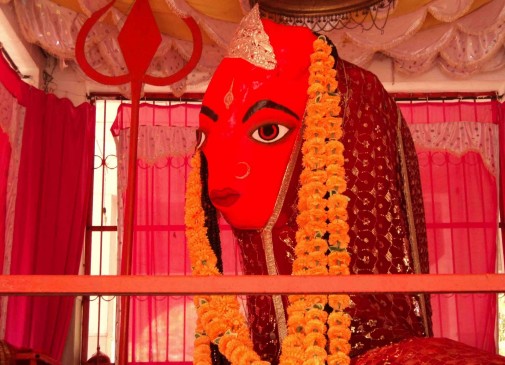 Bear family joins Chandi Aarti every day  with children