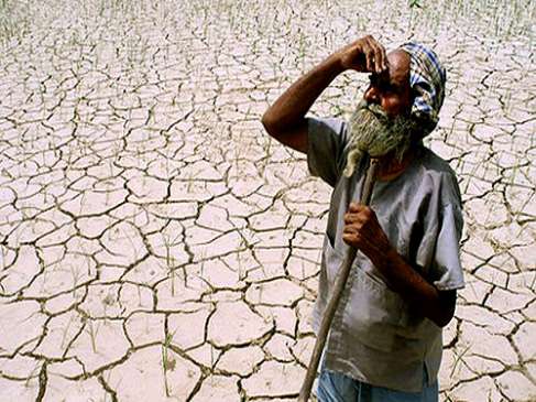condition of farmers: Premium paid but Amount of insurance not found