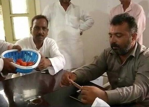 Congress opens State Bank of Tomatoes, long queue for tomato on loan