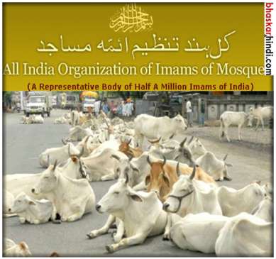 Declare cow the national animal, says chief imam of All India Imam Organisation