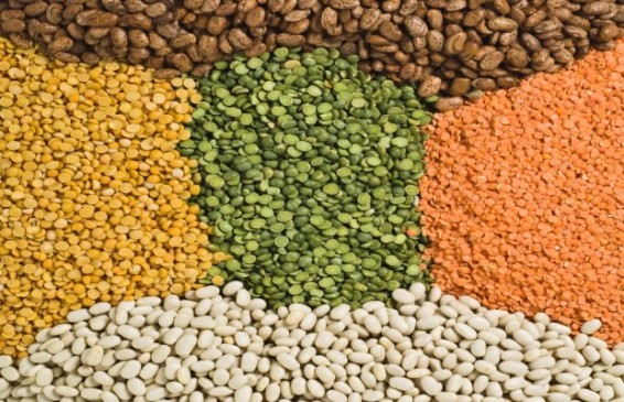 Farmer disturbs after selling pulses for payment