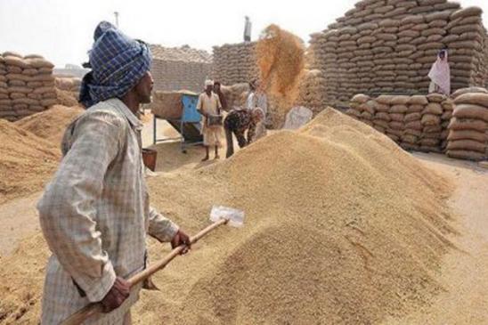 Illegal transportation and storage of grains in chhindwara MP