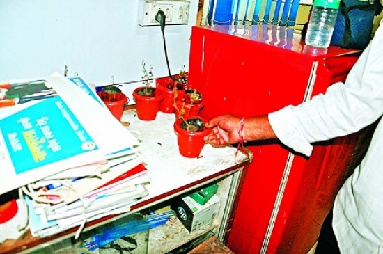 Plants found in the trash, put it in the garbage