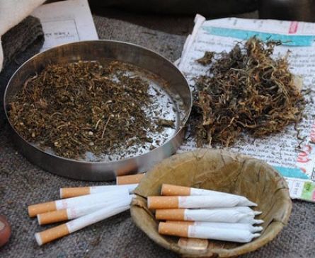 Pushparajgarh leads to smuggling of Hemp and animals