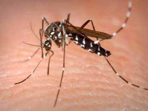 Death of a person from dengue in Hazari pahad of Nagpur district