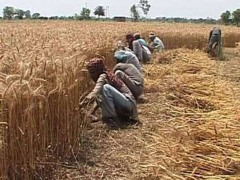 From Today bhavanter bhugtan plan will start in Madhya Pradesh