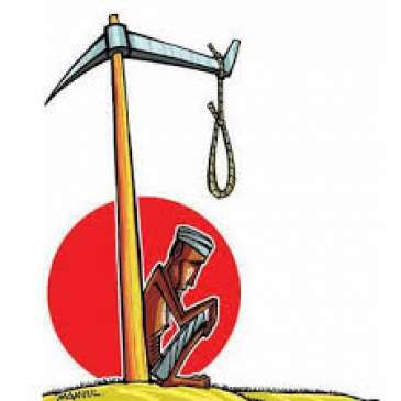 government servant told other reason in reports of farmers suicides