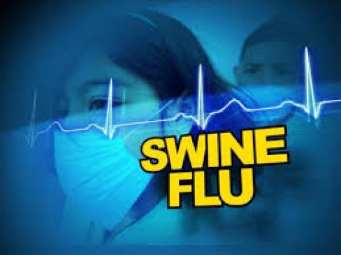 Division records 13 deaths by swine flu in last 7 days