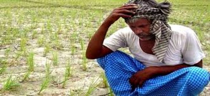 farmers are in trouble, they are not getting right price of their crop