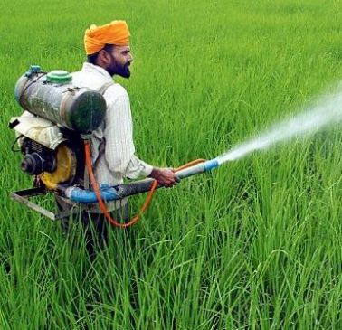 farmers death by pesticides: government presented details of action taken