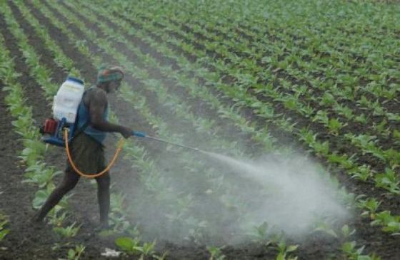Farmers death due to pesticide spraying, Chinese pump will be banned