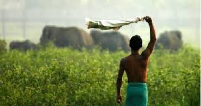 government gave Debt relief to farmers as diwali gift on wednesday