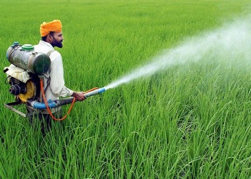 High court notice to state government in case of death by pesticide