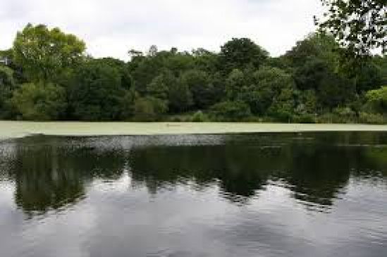 insufficiency of water is a big problem of state