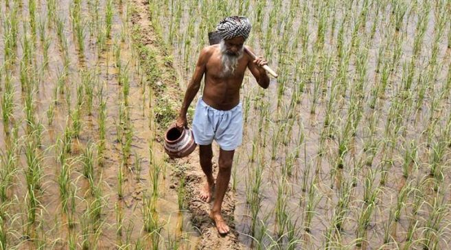 Insurance company changed rules, farmers disturb for claim