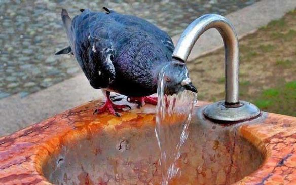 2017 Will Be Among Three Hottest Years On Record: Un