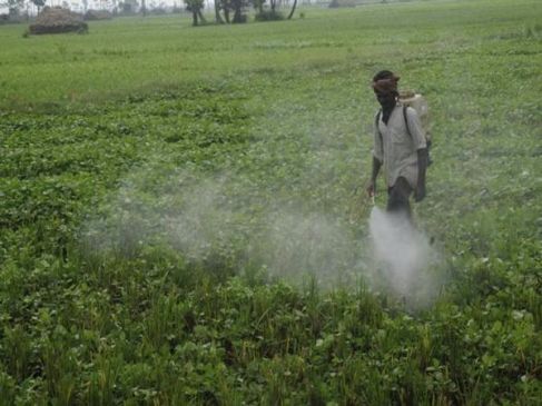 47 year old farm labour died by inhaling pesticide