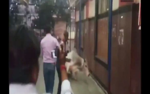 Bull Strayes Into Premises Of Mathura Railway Station During Hema Malini Visit 