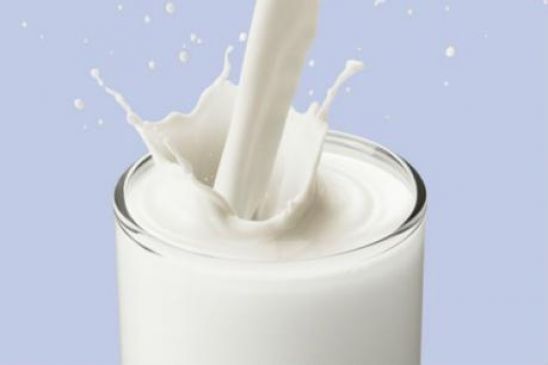 Demand for subsidy of Rs 7 for milk, held meeting in Aurangabad