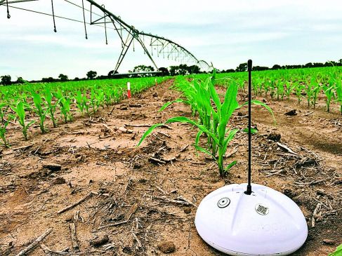 Farming from siphon technology is proving boon for villagers