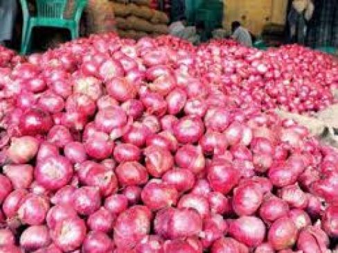 Good News:  arrival of new crop, Onion prices will get down.