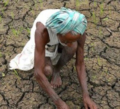 17,339 farmers have Committed Suicide in  between last 17 years