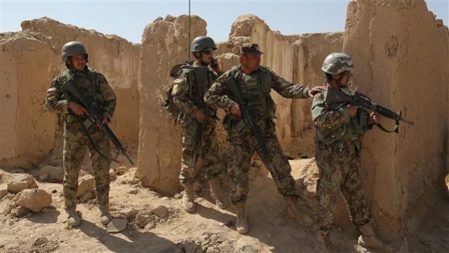 Afghanistan forces killed 31 taliban militants in a nangarhar province attack