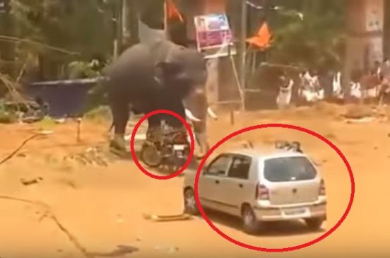 गुस्साए गजराज ने निकाला गाड़ी का कचूमर देखें VIDEO
