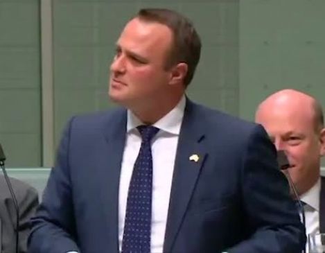 Australian MP propose to their gay partner in parliament