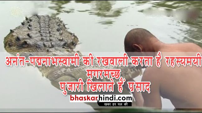 अनंत-पद्मनाभस्वामी  की रखवाली करता है रहस्यमयी मगरमच्छ, पुजारी खिलाते हैं प्रसाद