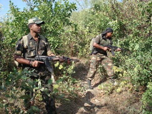 combing operation of police in Gadchiroli